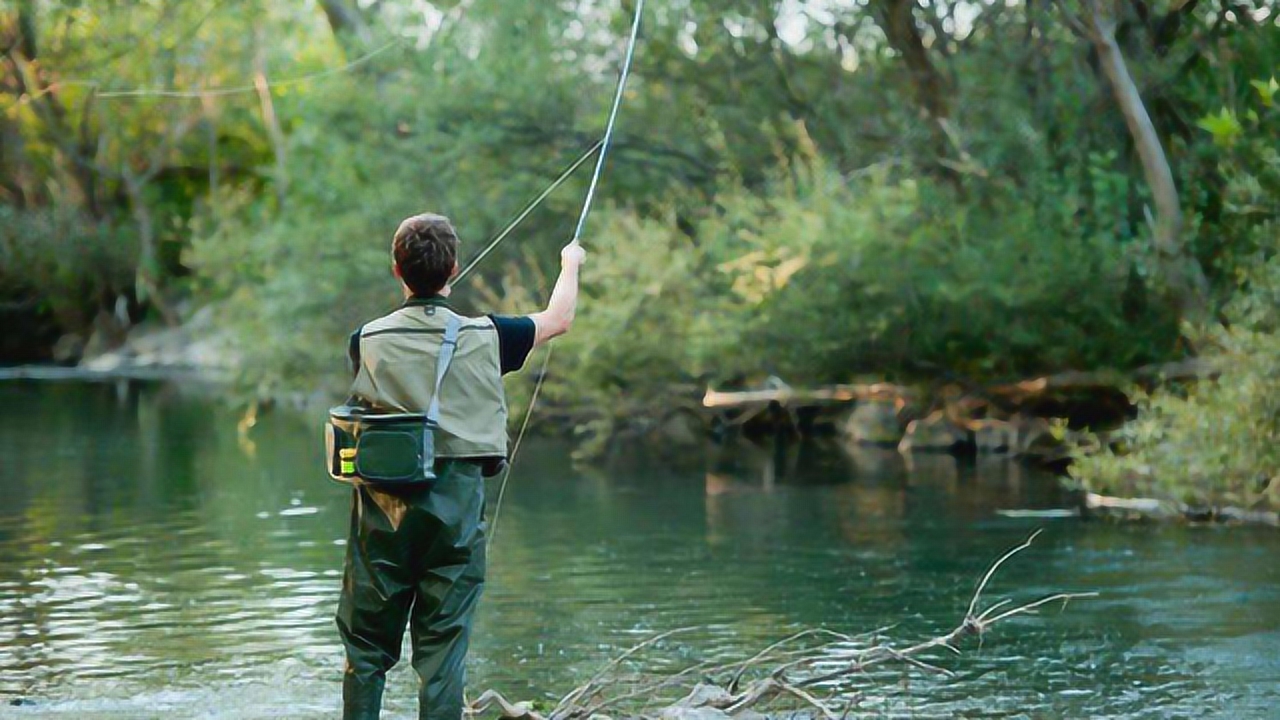 上鱼窗口期有变？选对出钓时间，摸清鱼情才不空军！