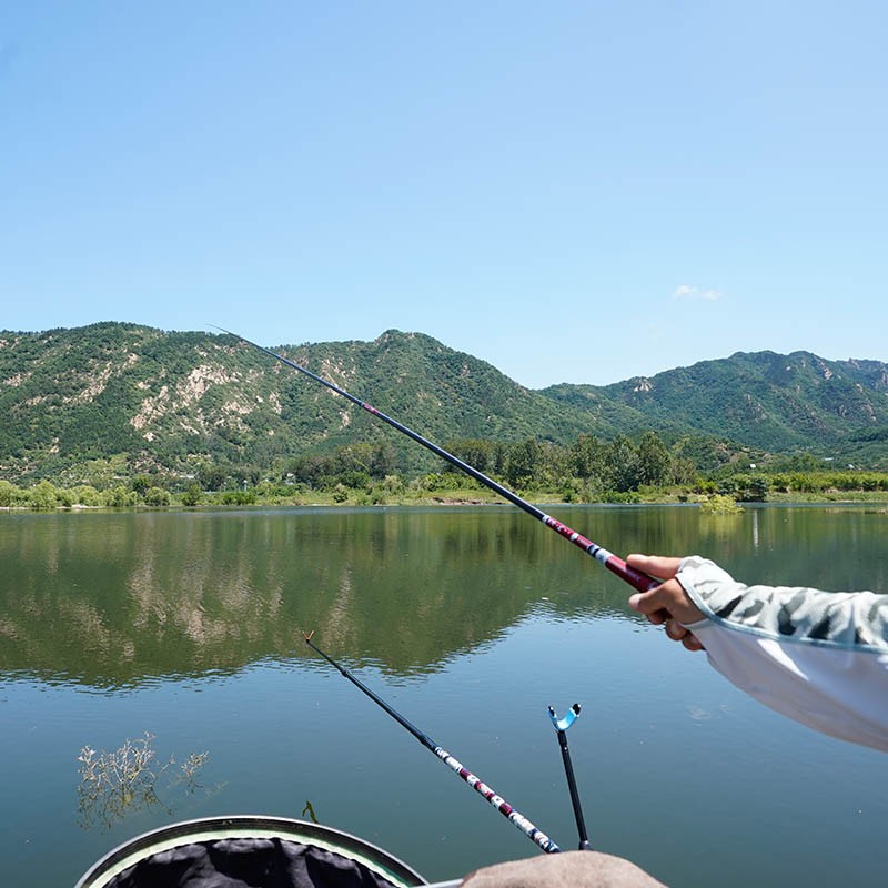 深秋钓鲤鱼：把握觅食窗口期，轻松收获大鲤鱼